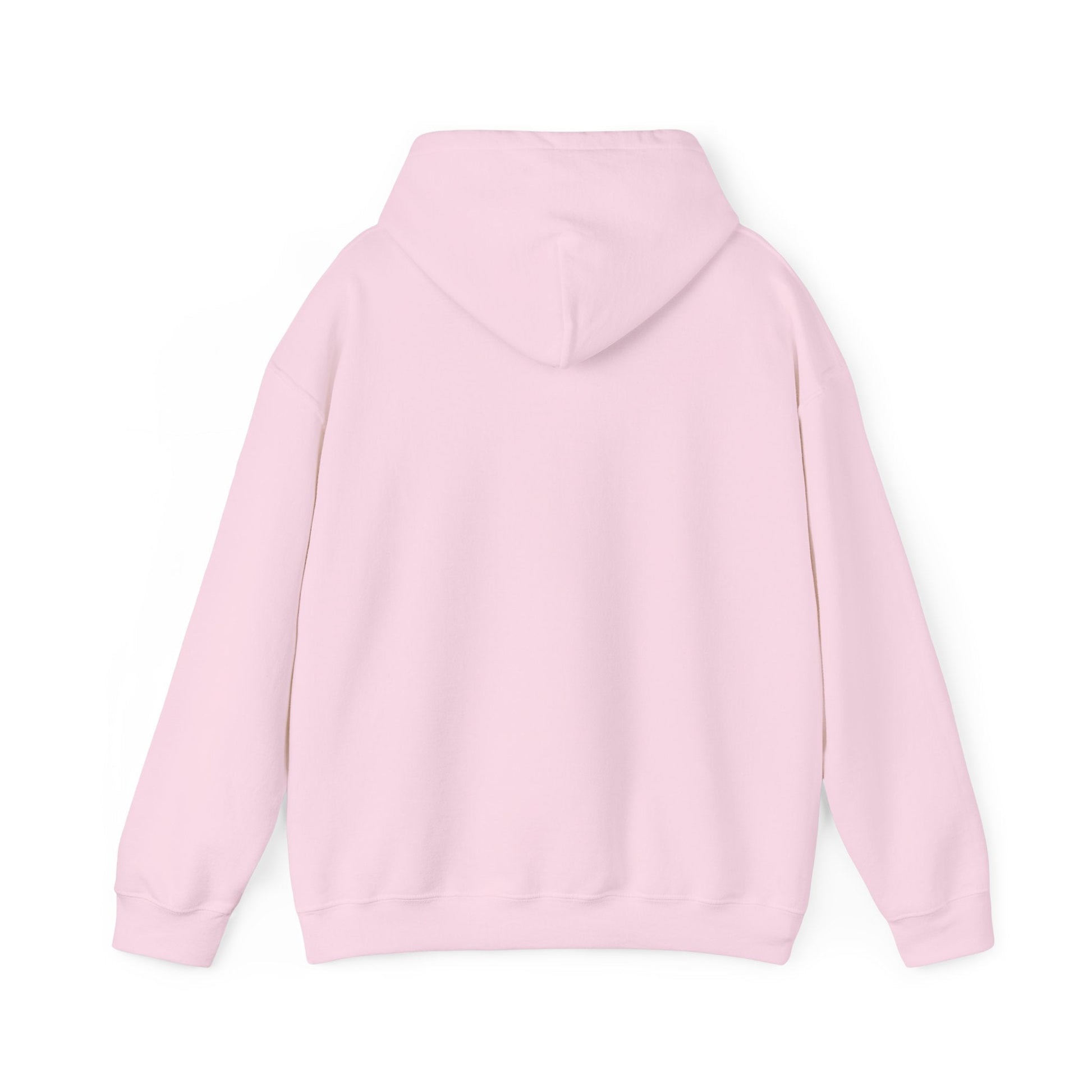 Live Outside Bear in the Mountains hoodie - Busy Bee Bazaar