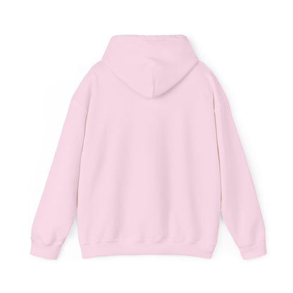 Live Outside Bear in the Mountains hoodie - Busy Bee Bazaar